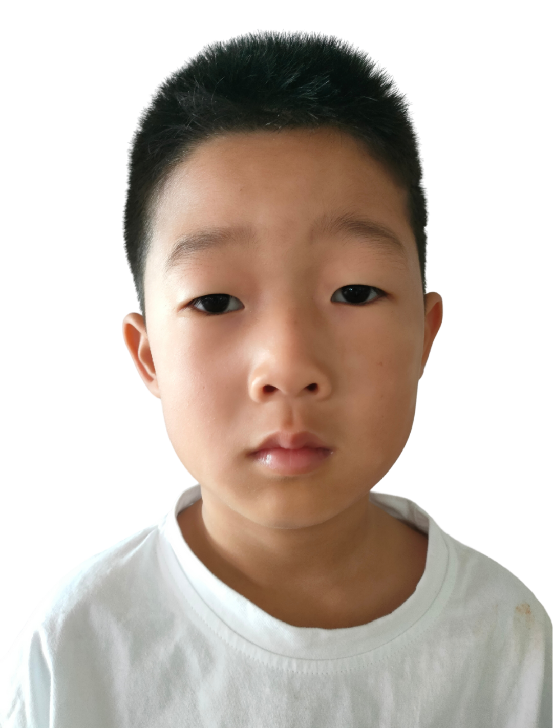 小学,我们来啦【顺合李幼 ‖ 学前教育宣传月】 第1张
