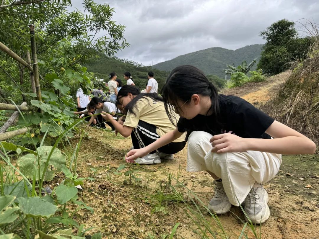 志当存高远 无愧梦少年——名智小学六年级毕业暨庆“六一”研学游 第31张 志当存高远 无愧梦少年——名智小学六年级毕业暨庆“六一”研学游 第31张