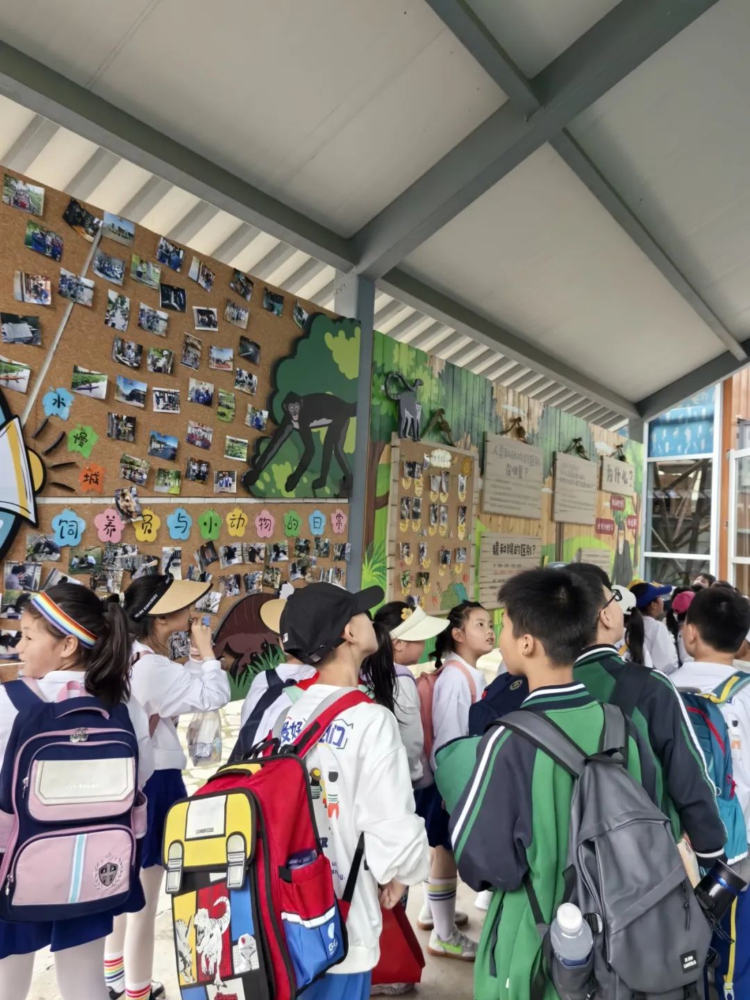 【校园动态】实验小学——好学力行  礼赞成长 第25张