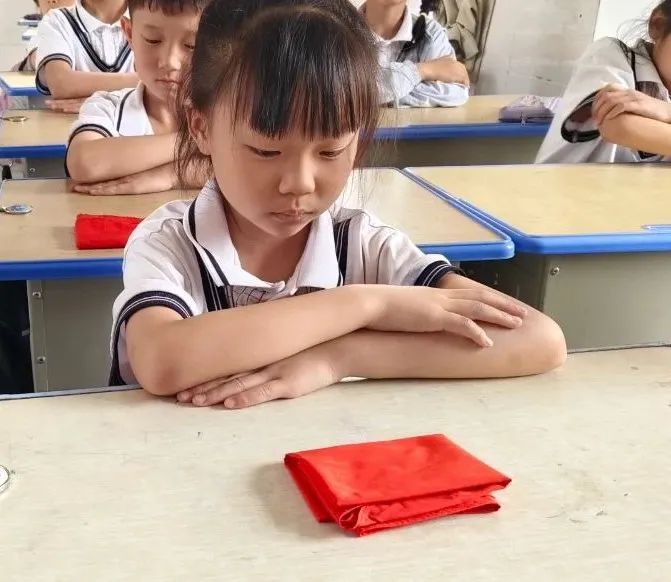 【通知】汉阴县实验小学教育集团少先队员夏季规范佩戴红领巾和队徽的通知 第11张
