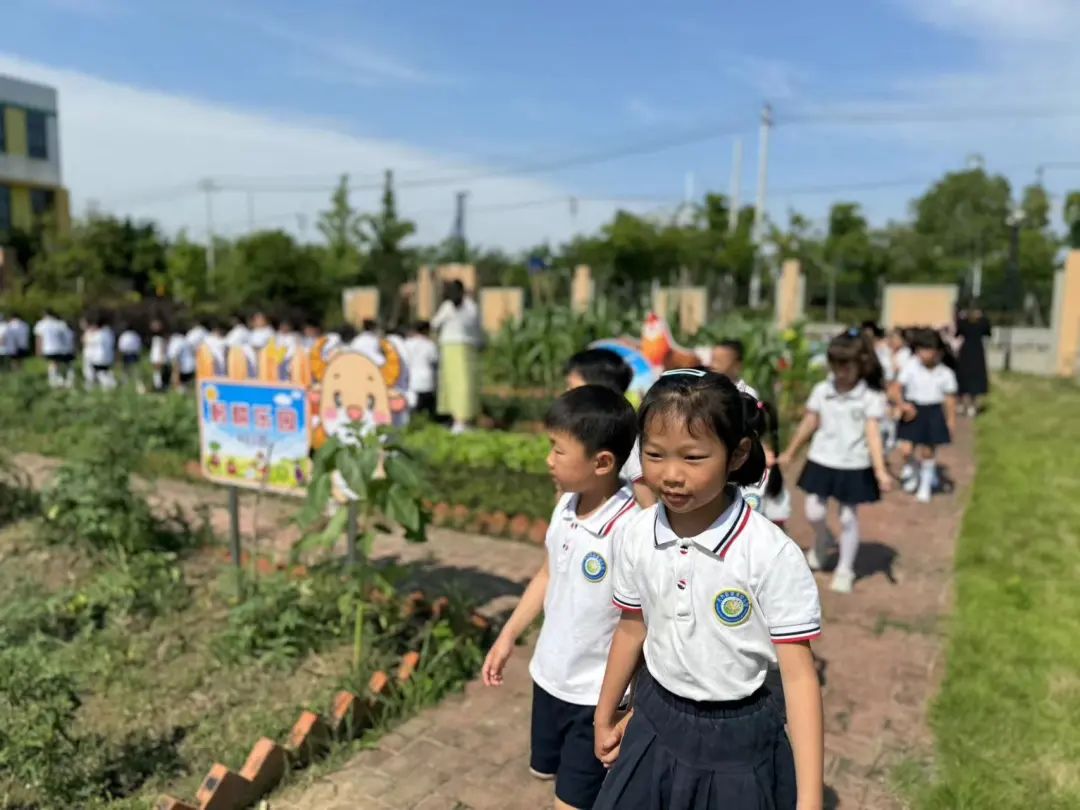 【幼小衔接】走进小学,体验成长——无为市南惠幼儿园教育集团本部大班组参观小学活动 第107张 【幼小衔接】走进小学,体验成长——无为市南惠幼儿园教育集团本部大班组参观小学活动 第107张
