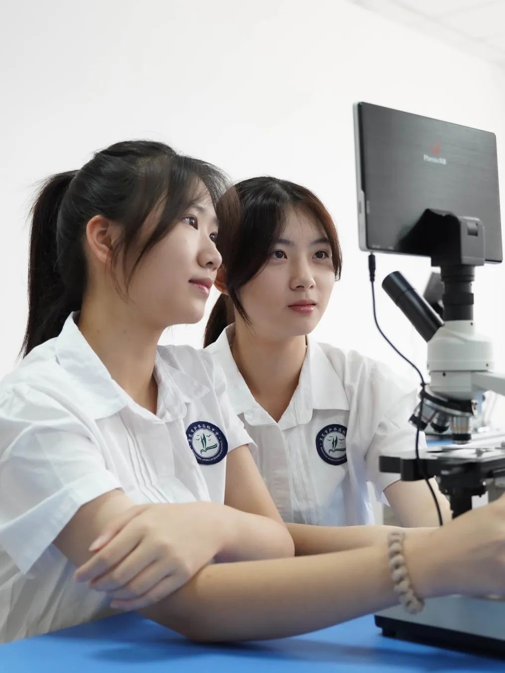 中考家长必看!香港博雅(东莞南城)三年制DSE班,学生升学“优选捷径”! 第33张