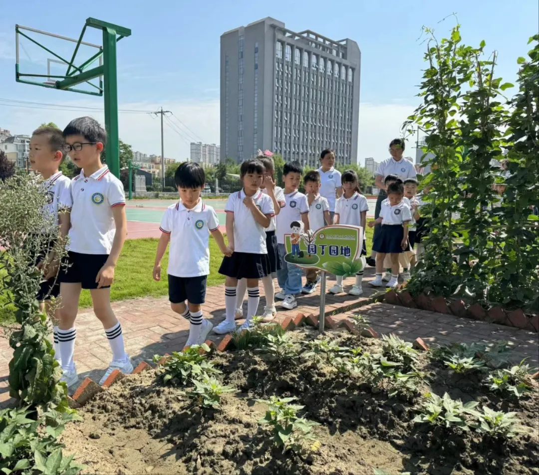 【幼小衔接】走进小学,体验成长——无为市南惠幼儿园教育集团本部大班组参观小学活动 第103张 【幼小衔接】走进小学,体验成长——无为市南惠幼儿园教育集团本部大班组参观小学活动 第103张