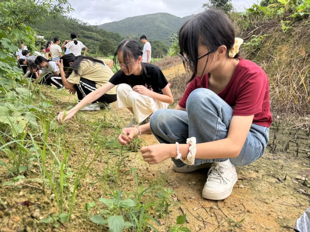 志当存高远 无愧梦少年——名智小学六年级毕业暨庆“六一”研学游 第32张 志当存高远 无愧梦少年——名智小学六年级毕业暨庆“六一”研学游 第32张