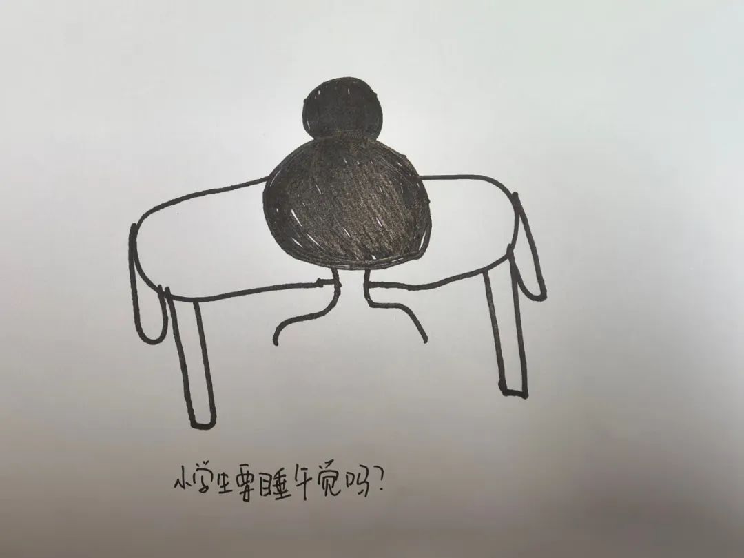 本部|探访小学,礼遇成长 第12张