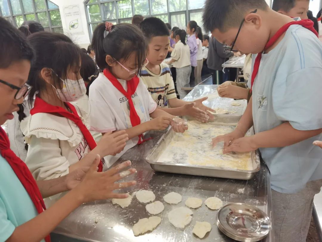 【崇川集团·八一小学】“土”露汗水  “豆”耘童年——八一小学四年级开展“小农夫收土豆”劳动实践活动 第16张