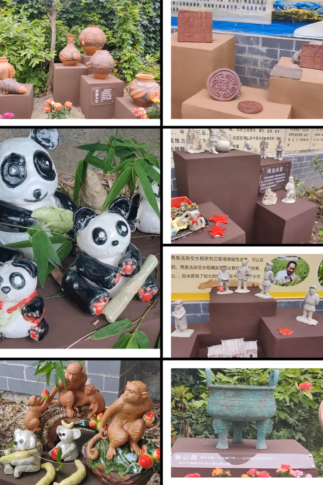 一周一报|陇南市实验小学周报(2024年第11期,2024.5.27-6.2) 第4张 一周一报|陇南市实验小学周报(2024年第11期,2024.5.27-6.2) 第4张