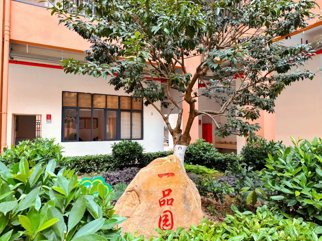 【大朗四海英才外国语小学】校服企业线上展示公告 第11张 【大朗四海英才外国语小学】校服企业线上展示公告 第11张