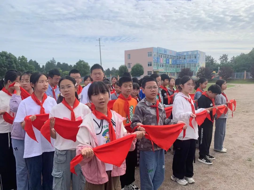 武昌小学举行新少先队员入队仪式 第6张 武昌小学举行新少先队员入队仪式 第6张