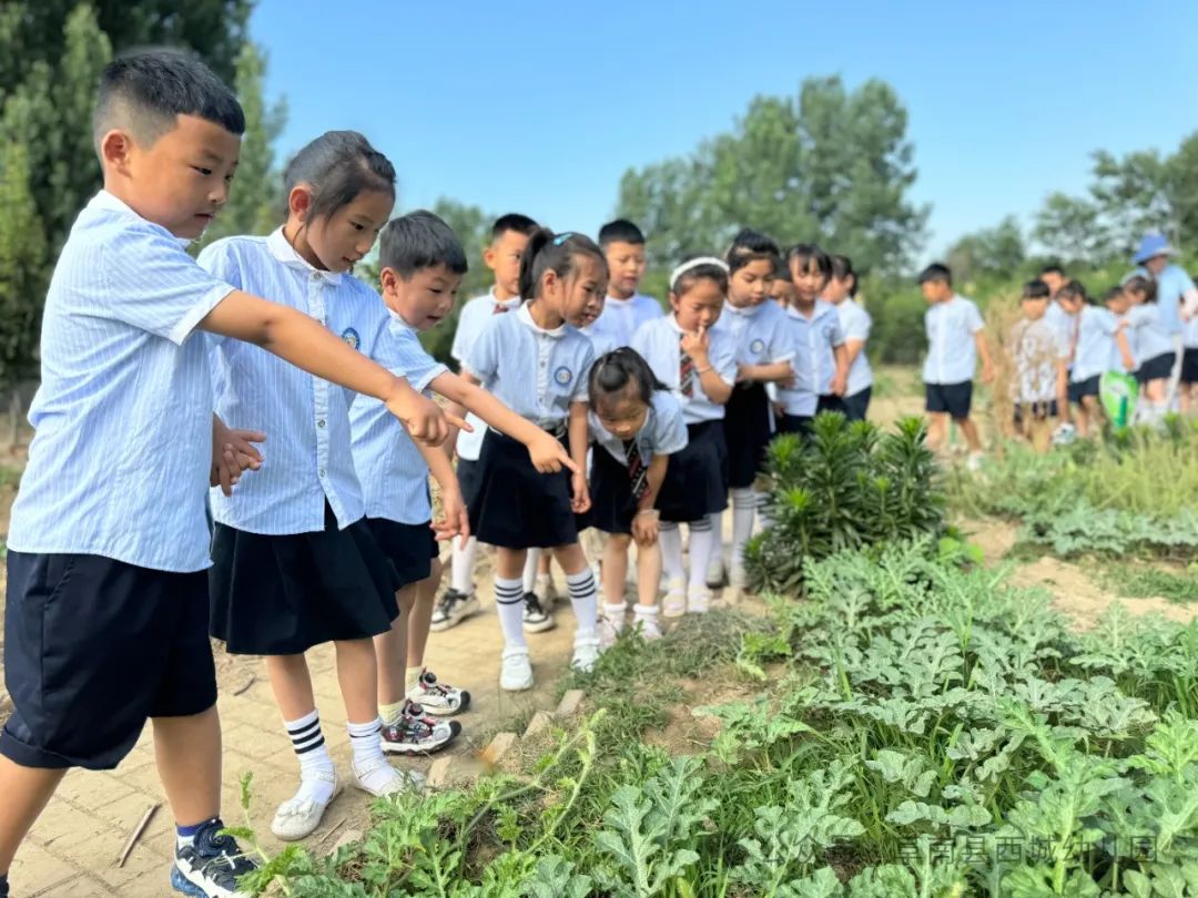 【学前教育宣传月】“初探小学 礼遇成长”——阜南县西城幼儿园大班组参观小学活动 第29张