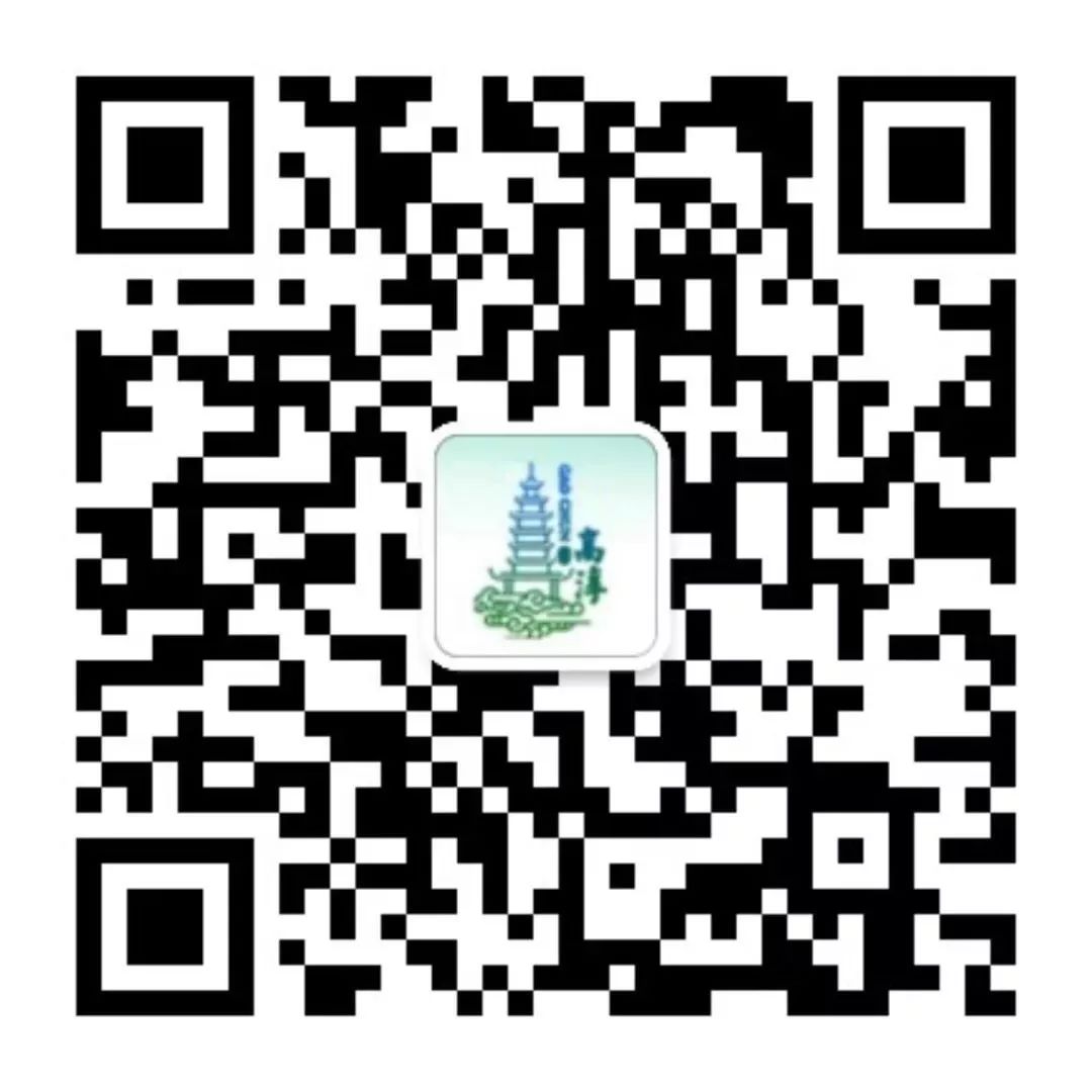 【校园动态】新城小学——以赛促教,共赛共学 第31张