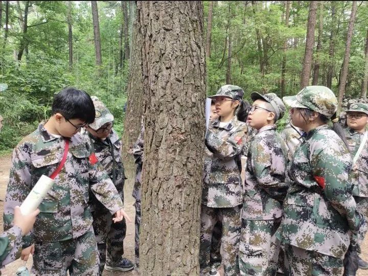 加强劳动教育,争做时代少年——记东园小学五年级学农劳动实践活动 第45张