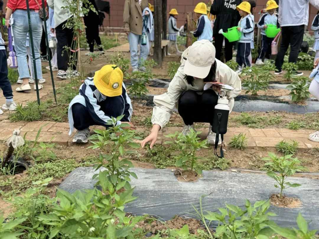【“趣”探小学 “幼”见成长】—六幼爱之堡幼小衔接系列活动(二) 第38张 【“趣”探小学 “幼”见成长】—六幼爱之堡幼小衔接系列活动(二) 第38张