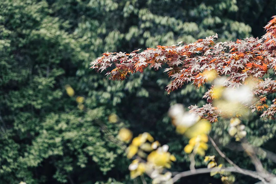 中考考前心理调试 赵闻瑛 第6张 中考考前心理调试 赵闻瑛 第6张