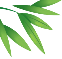 初探小学  筑梦成长 第1张