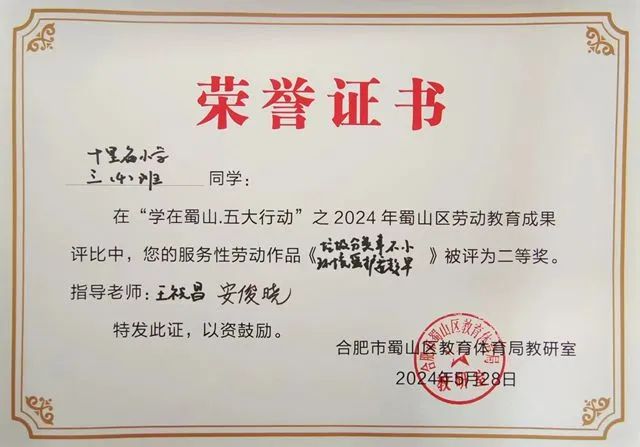 十里庙小学参加蜀山区劳动教育成果展评活动荣获佳绩 第13张