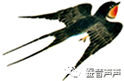 雏鹰展翅024‖游神龙泉 忻州市兴原小学五(6)班 银玉涵 指导教师:段树华 第6张 雏鹰展翅024‖游神龙泉 忻州市兴原小学五(6)班 银玉涵 指导教师:段树华 第6张