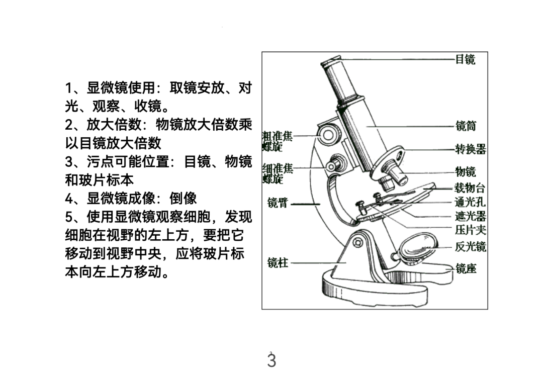 2024年中考生物考前课本重点图片回顾 第3张 2024年中考生物考前课本重点图片回顾 第3张