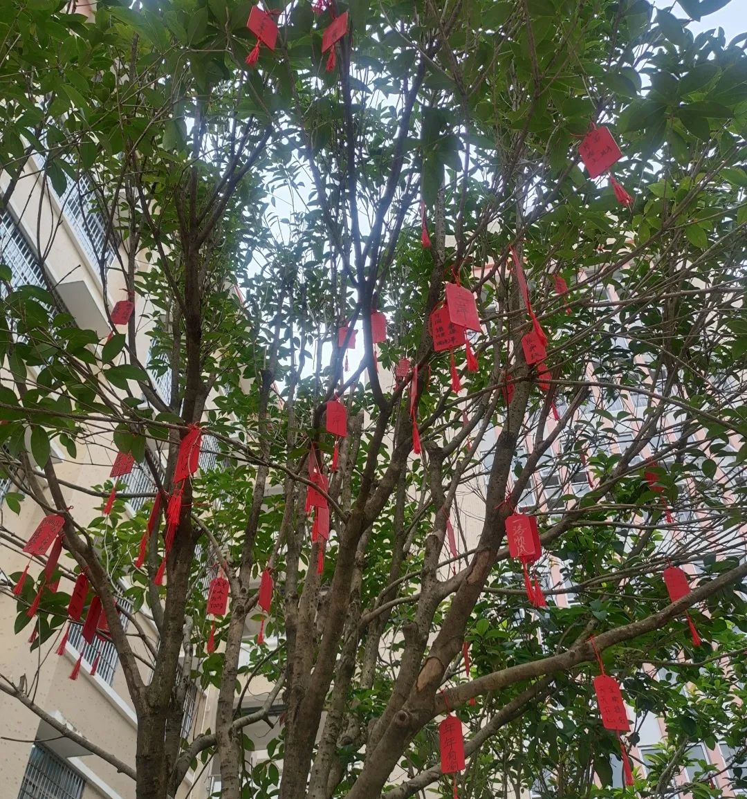 【团辅活动】许愿高考,加油未来——德化第二中学开展高考许愿暨心理减压活动 第24张 【团辅活动】许愿高考,加油未来——德化第二中学开展高考许愿暨心理减压活动 第24张