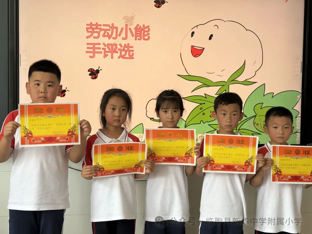 劳动的你最美——新华中学附属小学开展劳动月系列活动 第28张 劳动的你最美——新华中学附属小学开展劳动月系列活动 第28张