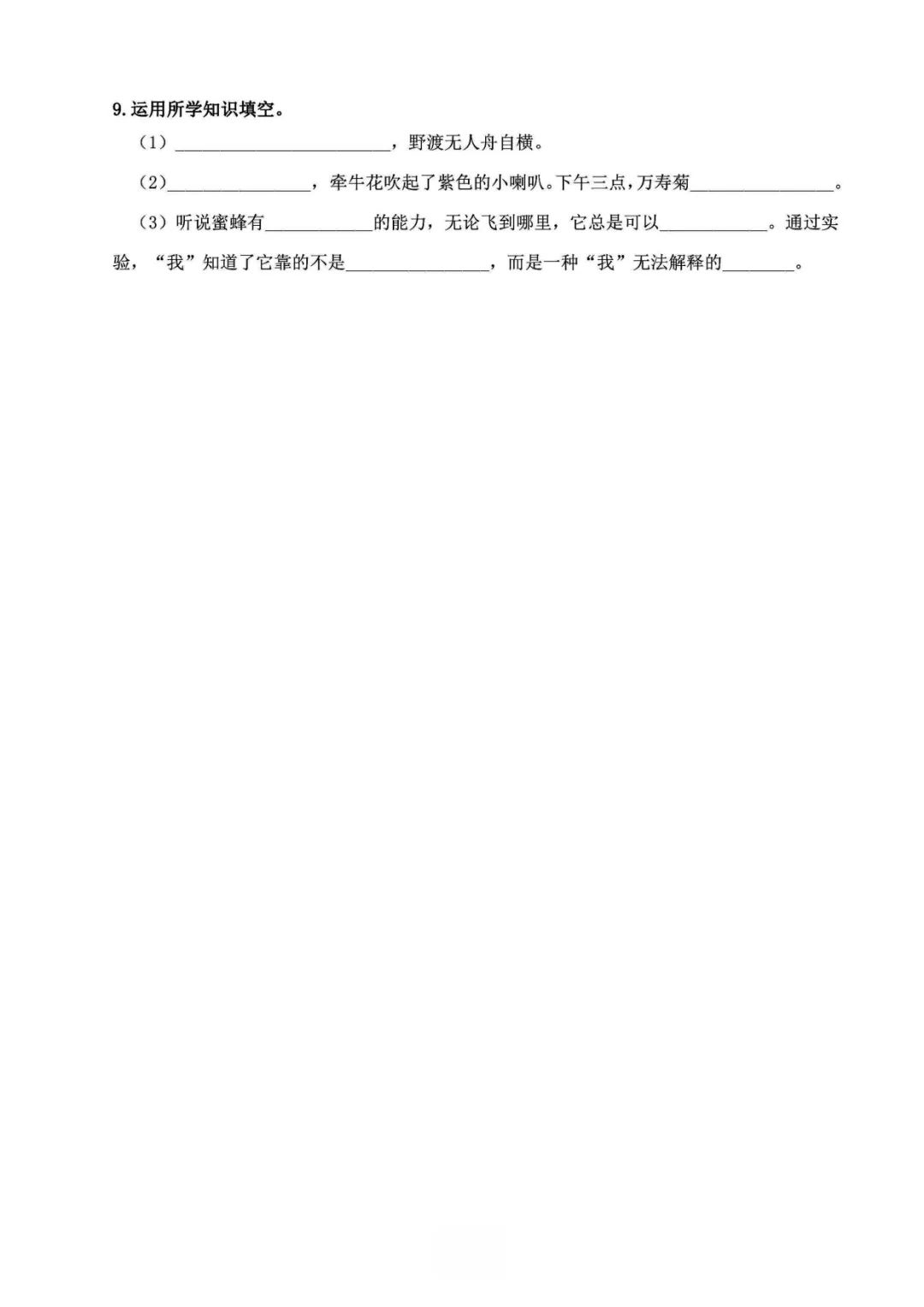 小学语文《必清基础考点练习卷》三年级下册(含答案,可下载打印) 第14张