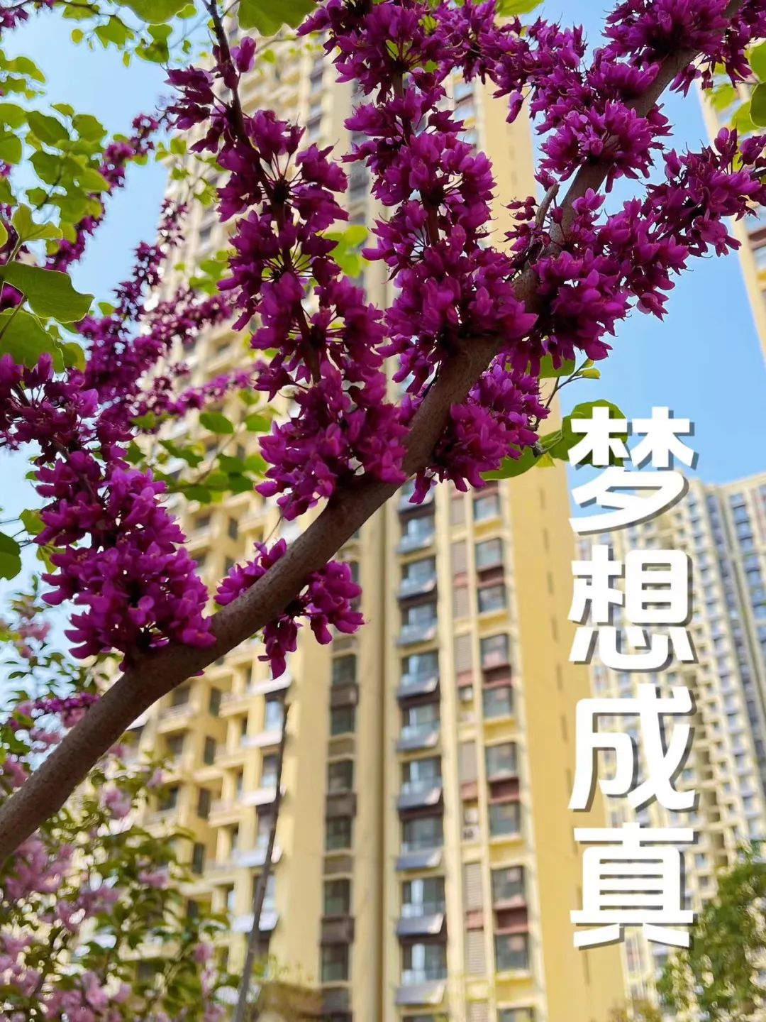 高考护学-小区静音 第2张