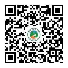 元阳县民族小学2024年“六·一”主题队日活动 第102张 元阳县民族小学2024年“六·一”主题队日活动 第102张