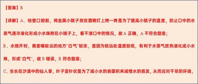 【中考物理】2024年中考物理考前20天终极冲刺攻略(倒计时17天)——物态变化 第29张