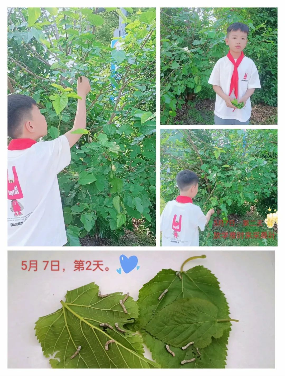 向阳而生,“润心”成长——绸都小学开展心理健康宣传教育月活动 第37张