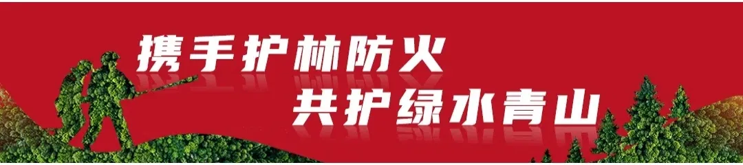 高考期间天气预报来了 第3张 高考期间天气预报来了 第3张