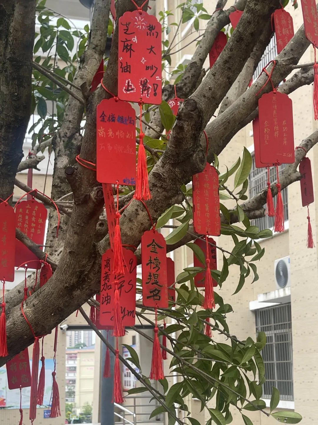【团辅活动】许愿高考,加油未来——德化第二中学开展高考许愿暨心理减压活动 第12张 【团辅活动】许愿高考,加油未来——德化第二中学开展高考许愿暨心理减压活动 第12张