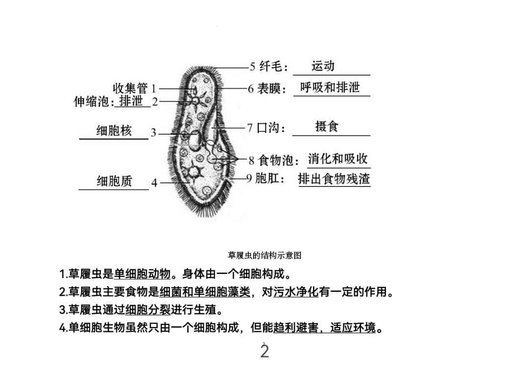 2024年中考生物考前课本重点图片回顾 第2张 2024年中考生物考前课本重点图片回顾 第2张