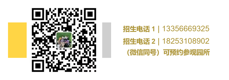 我们一起从幼儿园到小学 第18张 我们一起从幼儿园到小学 第18张