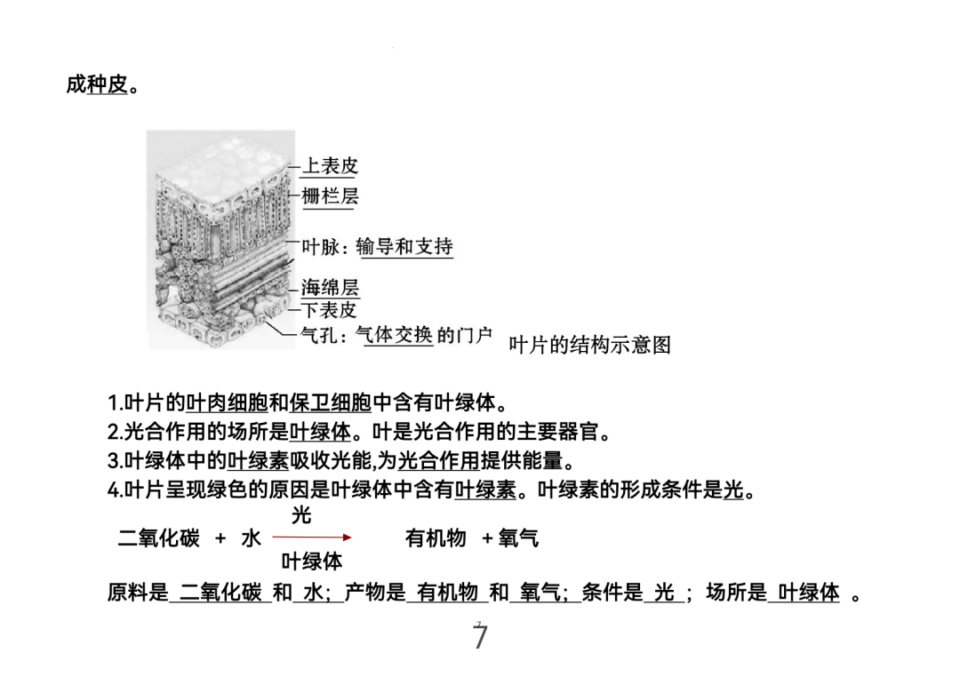 2024年中考生物考前课本重点图片回顾 第7张 2024年中考生物考前课本重点图片回顾 第7张