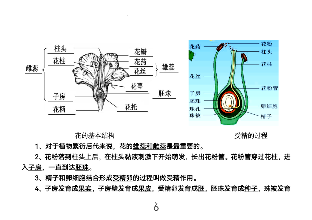 2024年中考生物考前课本重点图片回顾 第6张 2024年中考生物考前课本重点图片回顾 第6张