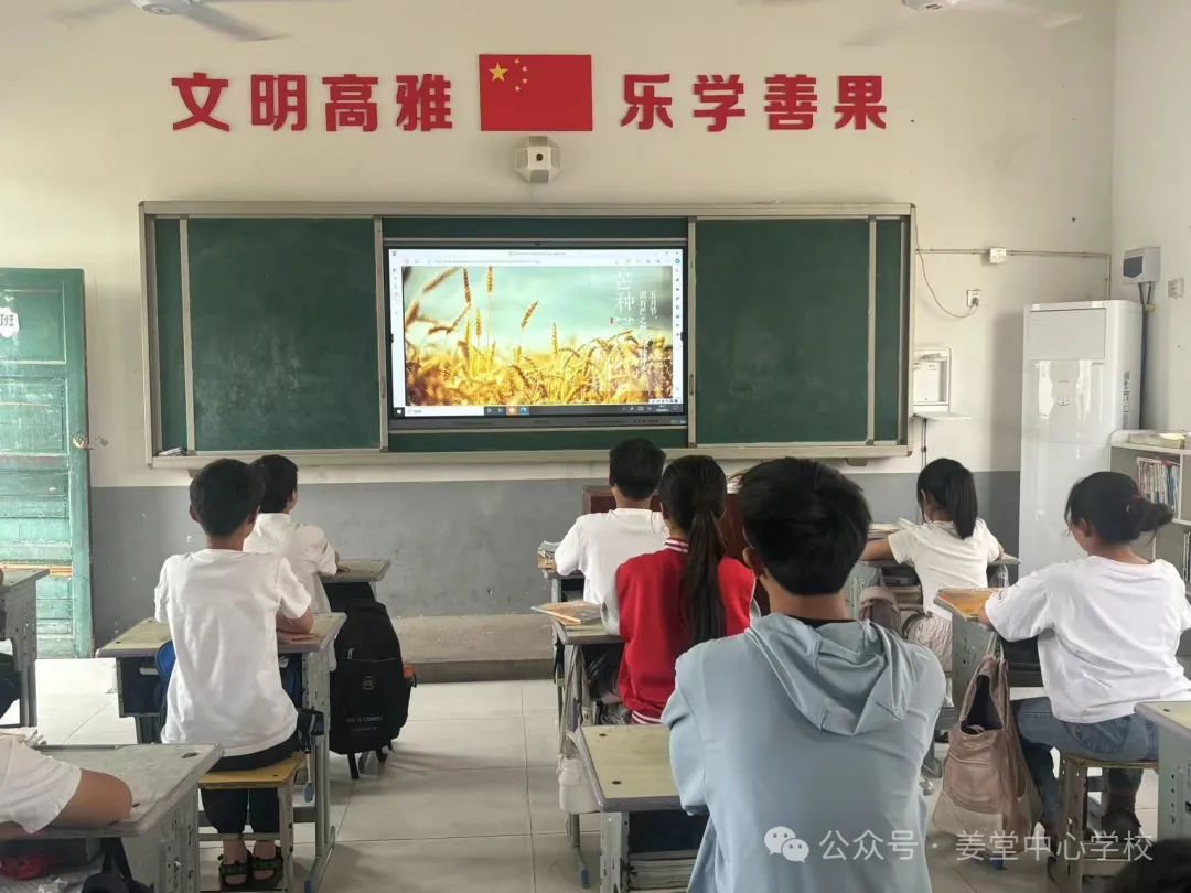 芒种芒种  连收带种——姜堂小学北校区秦杨小学“芒种”主题活动 第7张