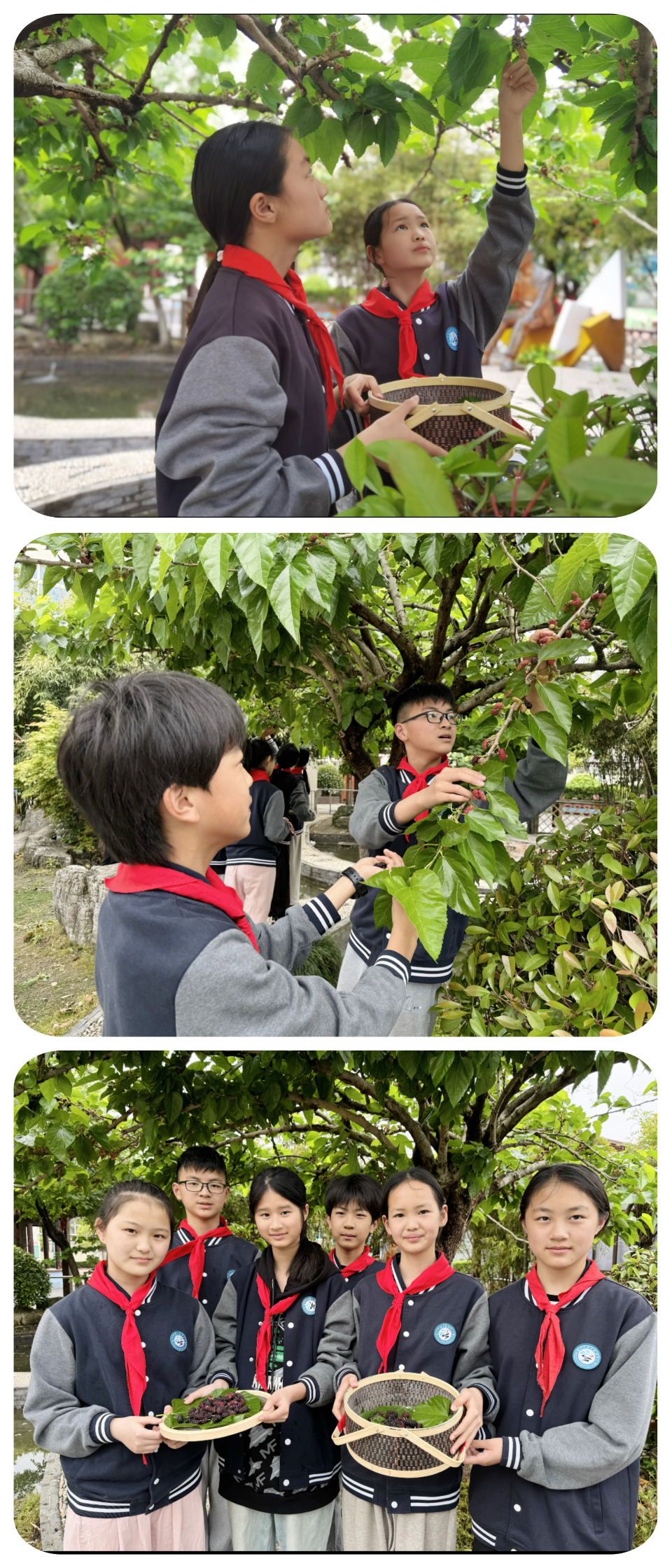 向阳而生,“润心”成长——绸都小学开展心理健康宣传教育月活动 第18张