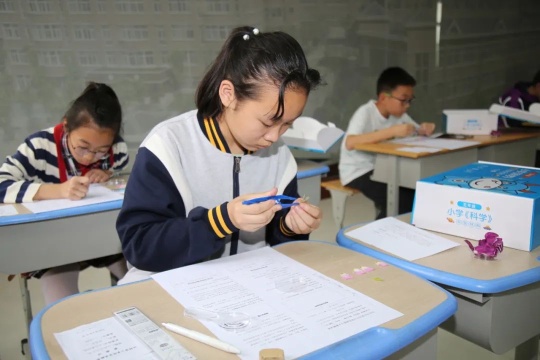 以赛促学,千帆竞发——新桥中心小学承办2024年江阴市中小学生实验能力大赛(小学科学) 第3张 以赛促学,千帆竞发——新桥中心小学承办2024年江阴市中小学生实验能力大赛(小学科学) 第3张