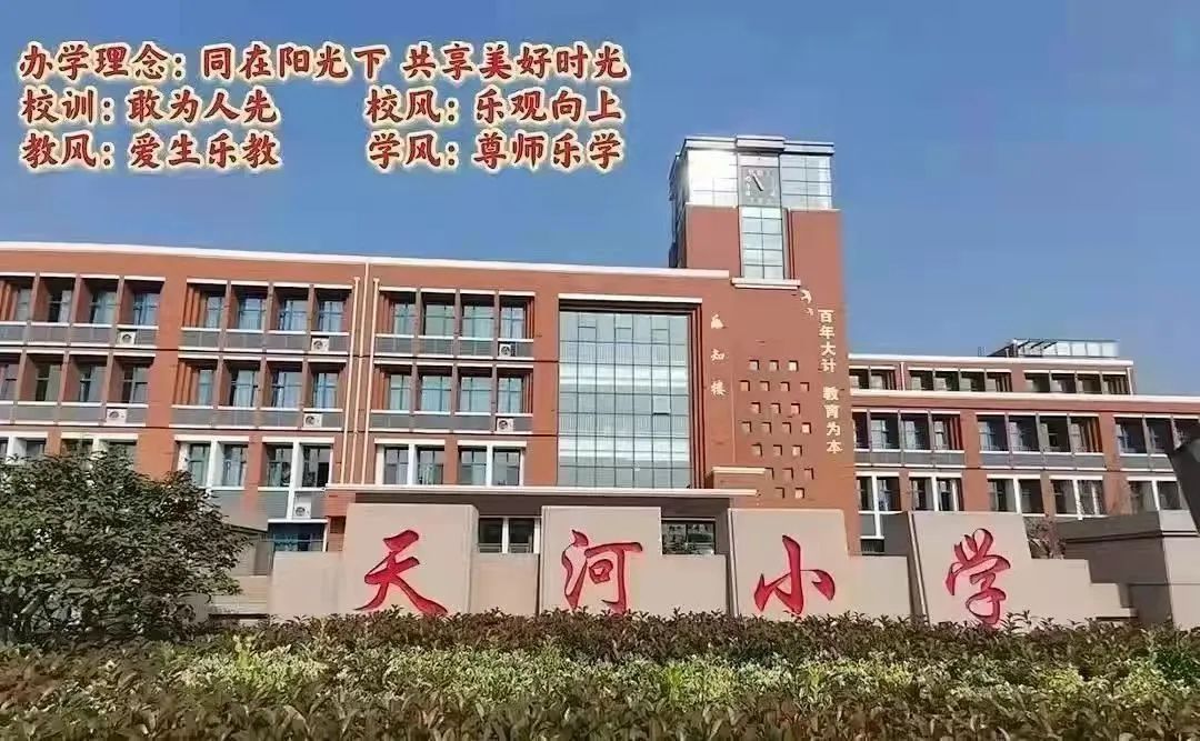 【宏阅读行动▕ 天河小学·书友会】“读”万卷之精华  “书”天下之华章——天河小学书友会阅读分享展示(第3期) 第43张