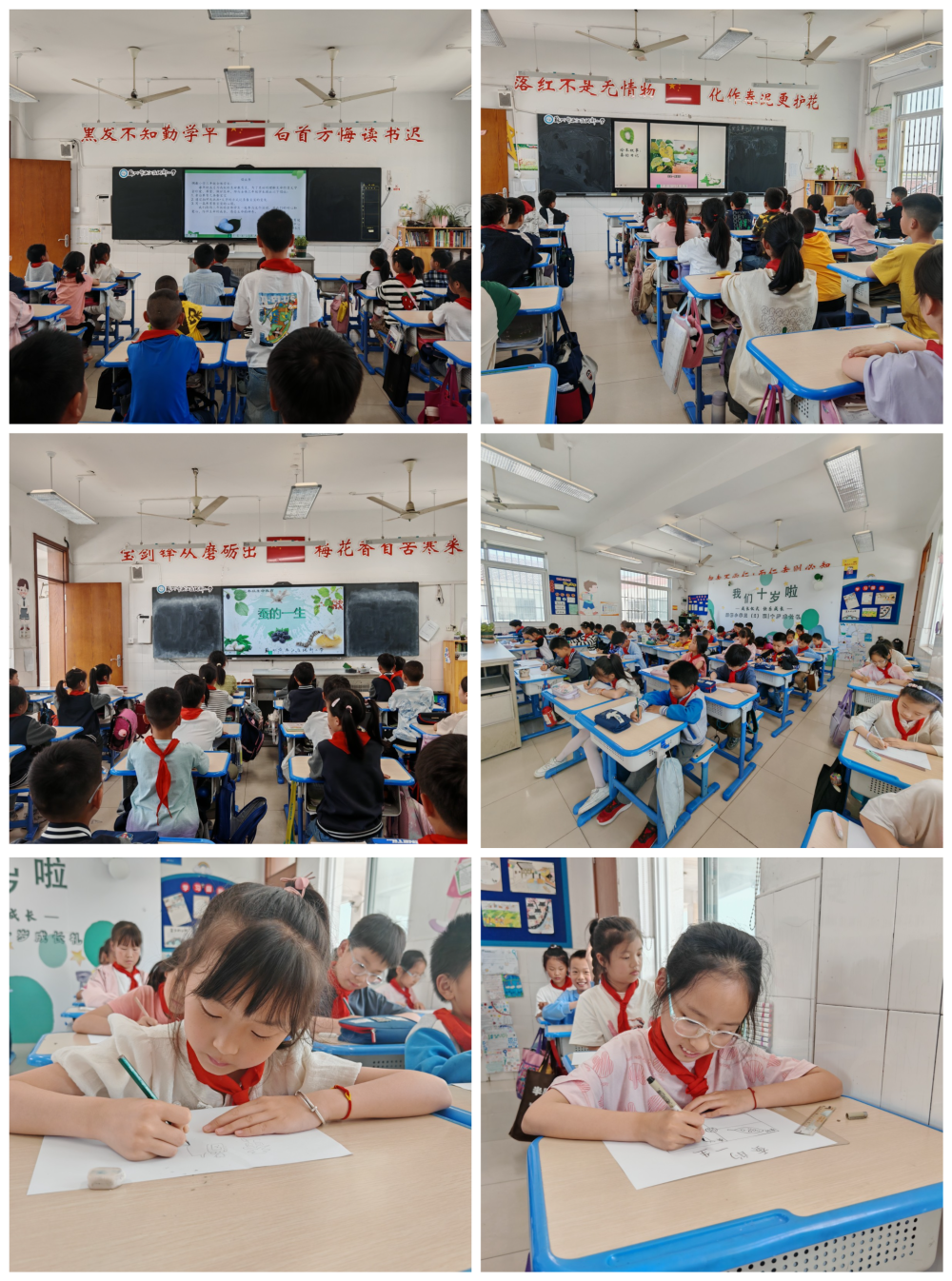 向阳而生,“润心”成长——绸都小学开展心理健康宣传教育月活动 第40张
