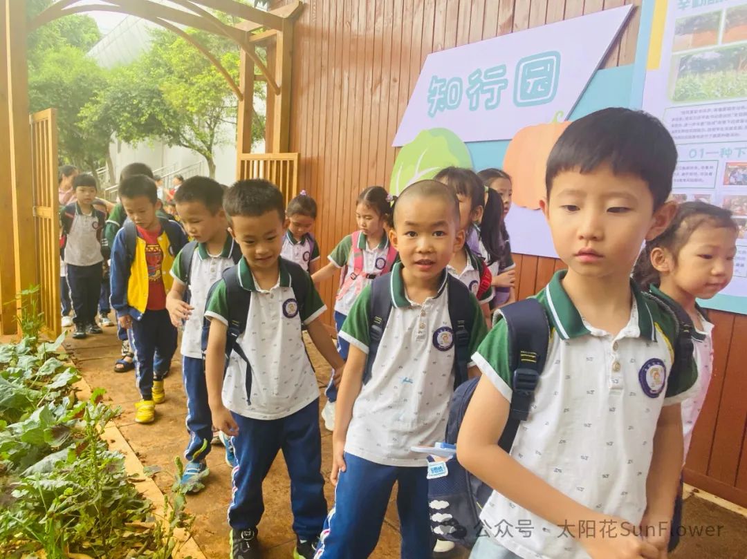 初探小学 礼遇成长 第4张 初探小学 礼遇成长 第4张