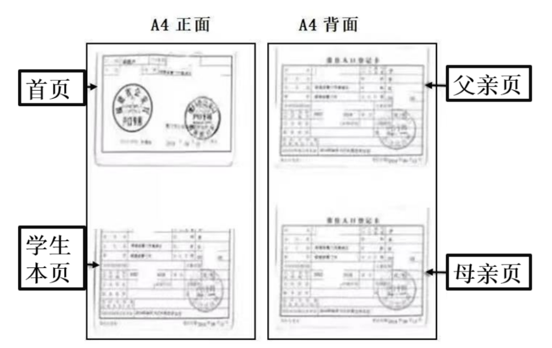 厦门市海沧区西园科技小学2024年秋季招生简章 第6张