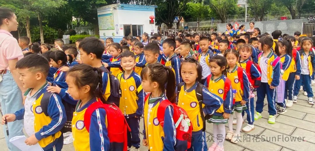 初探小学 礼遇成长 第1张 初探小学 礼遇成长 第1张