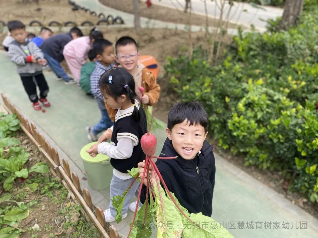 【分享】你好,小学 第52张 【分享】你好,小学 第52张