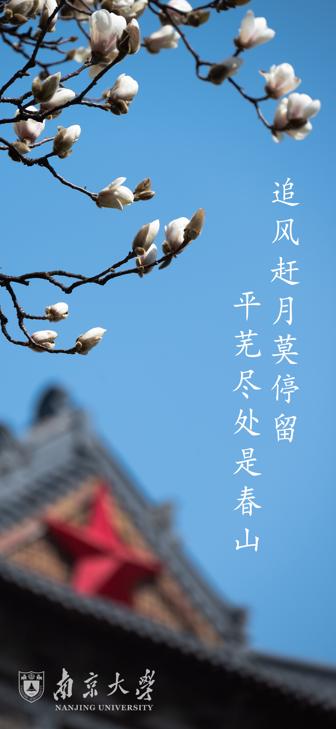 高考临近,这份祝福送给全力以赴的你!(第二期) 第25张
