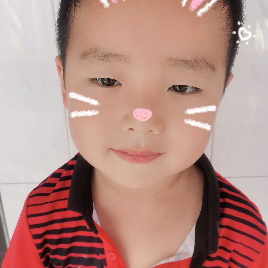 初探小学,礼遇成长---临沭县青云镇中心幼儿园幼小衔接参观小学活动 第11张