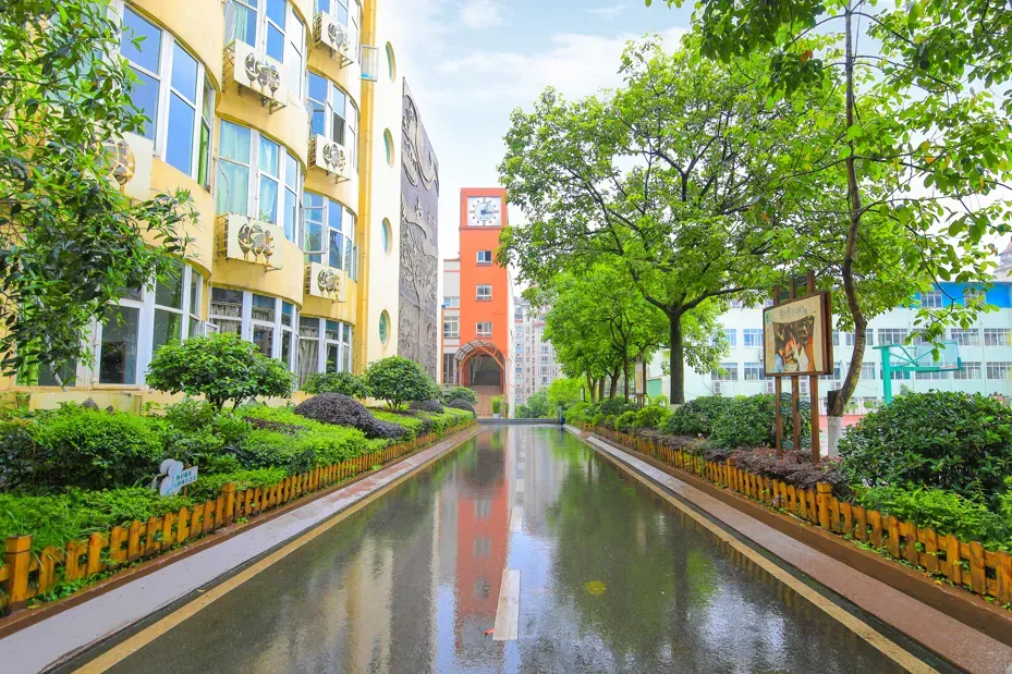 重庆市森林小学教育集团招聘 | 音乐教师 第3张 重庆市森林小学教育集团招聘 | 音乐教师 第3张