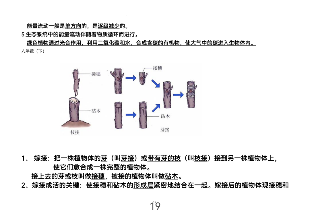 2024年中考生物考前课本重点图片回顾 第20张 2024年中考生物考前课本重点图片回顾 第20张
