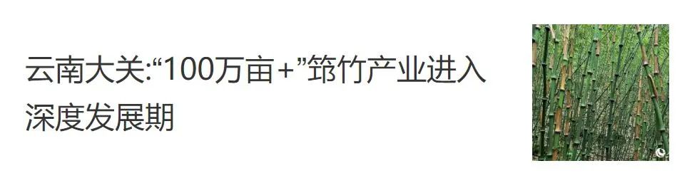 三桃小学U12篮球队,冠军! 第6张 三桃小学U12篮球队,冠军! 第6张