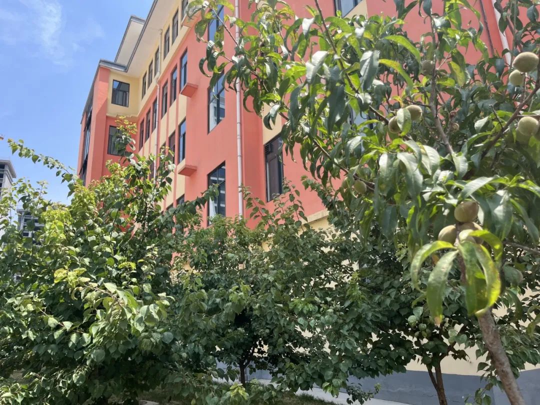 参观小学初体验  幼小衔接促成长——林州市第一实验幼儿园参观小学掠影(一) 第14张